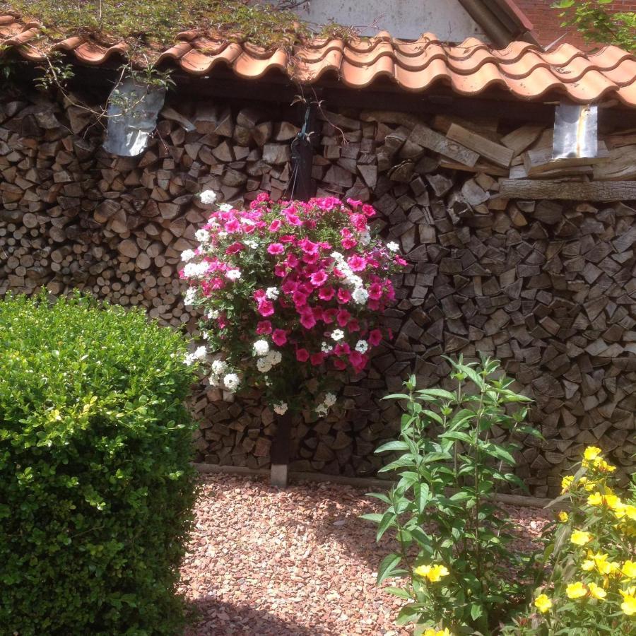 Bed and Breakfast T' Hogeland Ainrom Eenrum Экстерьер фото