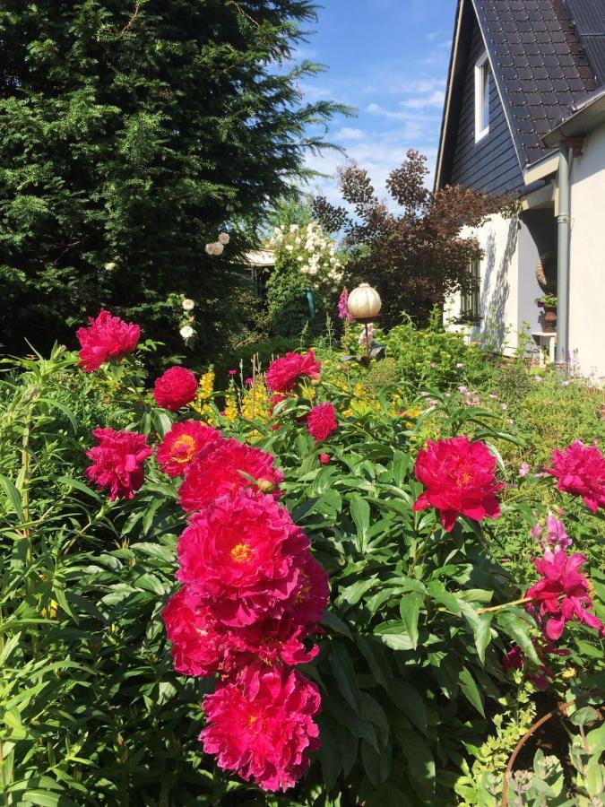 Bed and Breakfast T' Hogeland Ainrom Eenrum Экстерьер фото